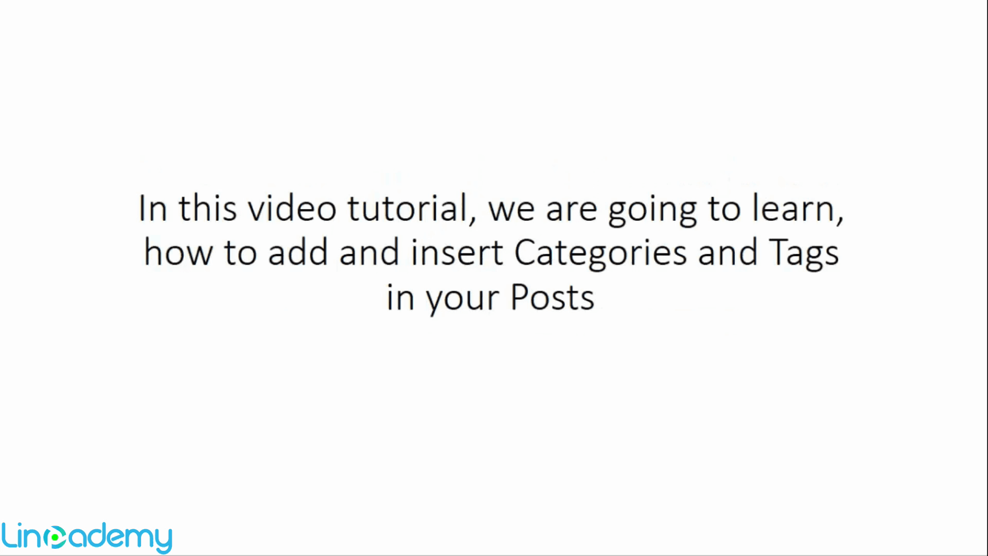 Video poster preview