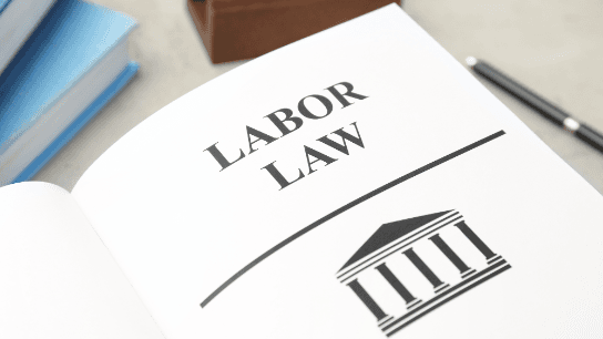NY's Evolving Workers' Rights Laws: A Guide for Attorneys
