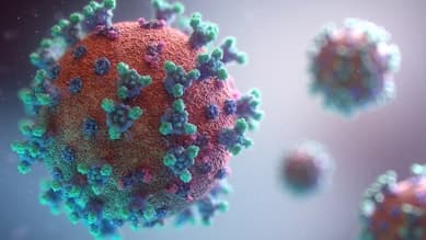 Comprehensive Coronavirus Legislation - Updated for 2025