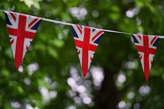 Tendering Strategies in Post-Brexit Procurement