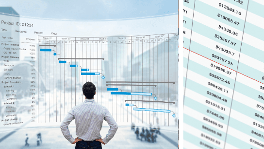 Excel for Project Management