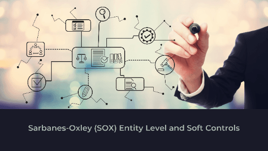 Sarbanes-Oxley (SOX) Entity Level and Soft Controls
