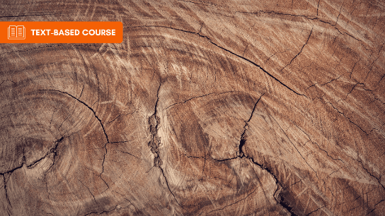 Adhesive Bonding of Wood Materials