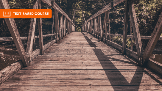 Use of Wood In Buildings and Bridges