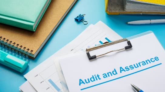 Audit and Assurance Standards Update 2022/2023