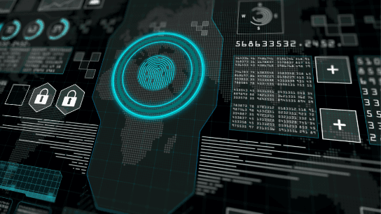 Displaying Data and Decision Making