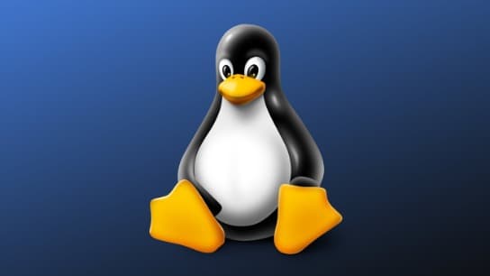 Linux Administration Bootcamp: Beginner to Advanced Part 2/2
