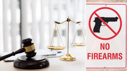 NY’s Red Flag Law & the Concealed Carry Improvement Act