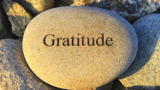 The Power of Gratitude