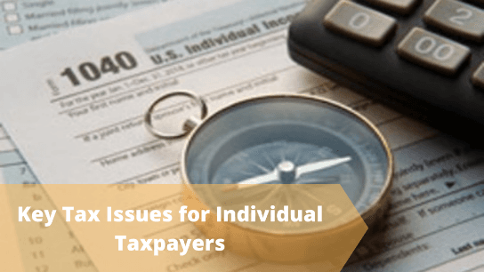 Key Tax Issues for Individual Taxpayers