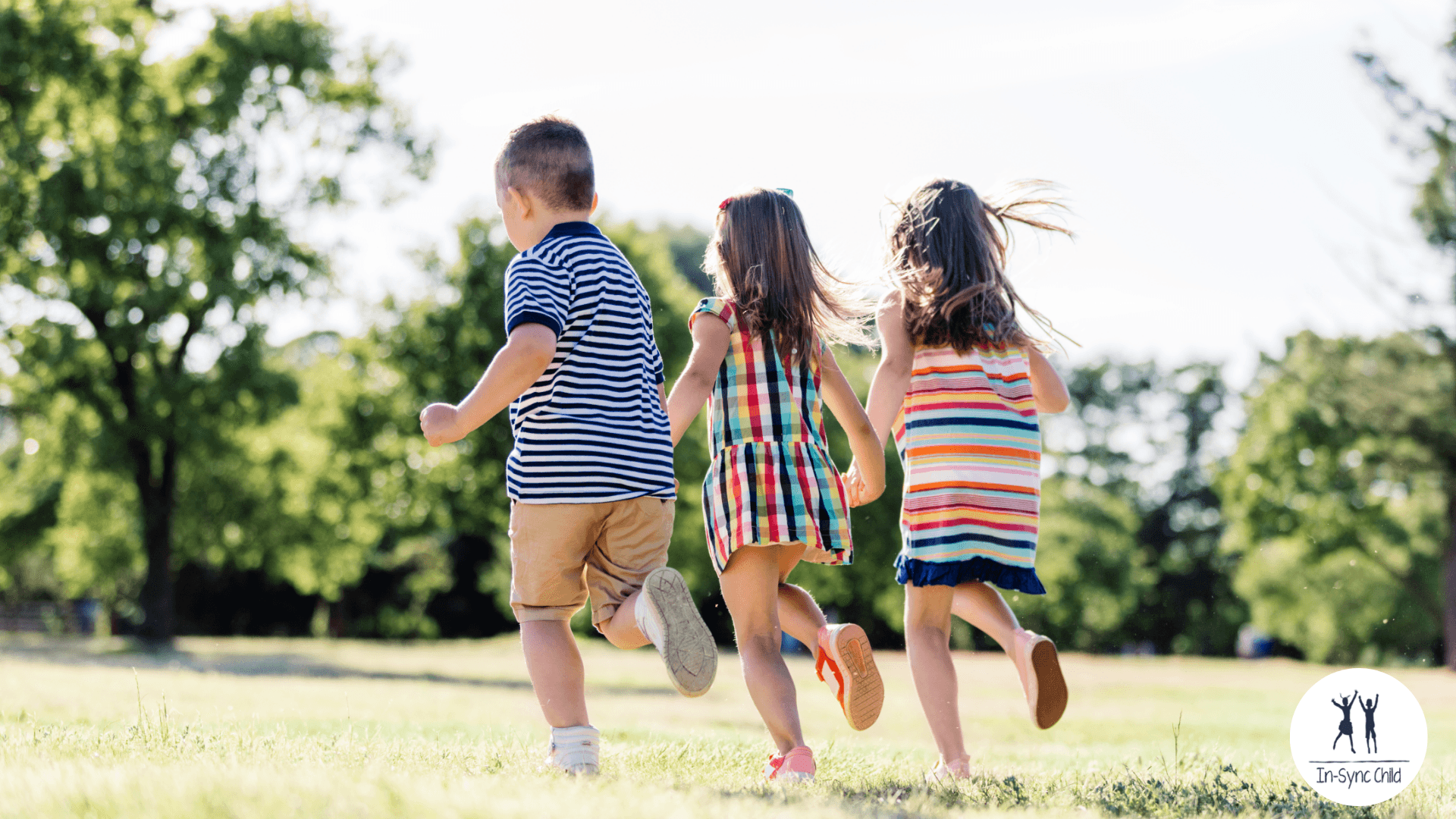 The In-Sync Child, Webinar #1: Introduction