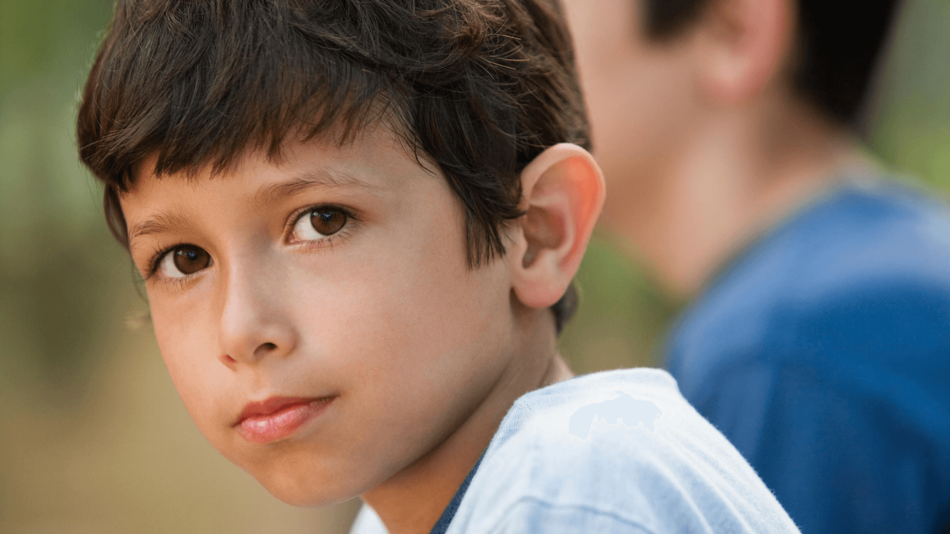 Understanding Behaviour: Listening to the language of Action