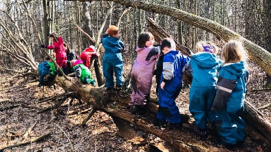 Nature-based Early Childhood Education