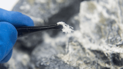 Clearing the Air: Asbestos Litigation Issues from Both Sides