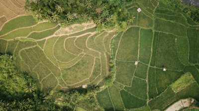Rural Tax Advanced 1 - Lifestyle Blocks