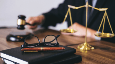 The Appellate Guide: Strategy, Brief Writing & Oral Argument