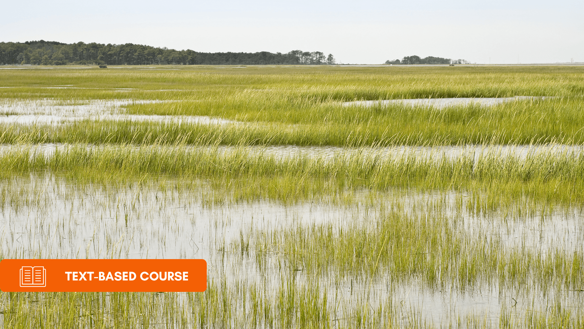 Site Assessment and Design of Constructed Stormwater Wetlands in Alberta