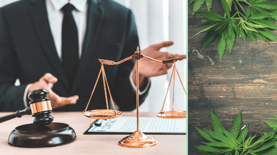 Legal Impact of Cannabis: A Multi-Billion Dollar Industry