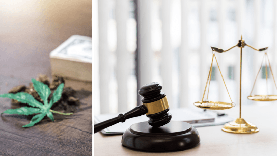 Thorny Compliance Issues for Cannabis Attorneys