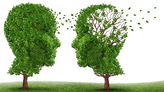 My Dad and My Dog—A Gentle Look Into The World of Dementia©