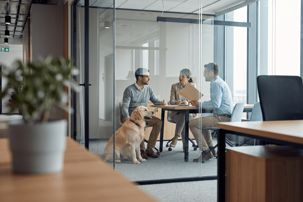 The Glass House Effect: What the Denied Summary Judgment in SHRM's Service Dog Lawsuit Teaches HR About ADA Compliance